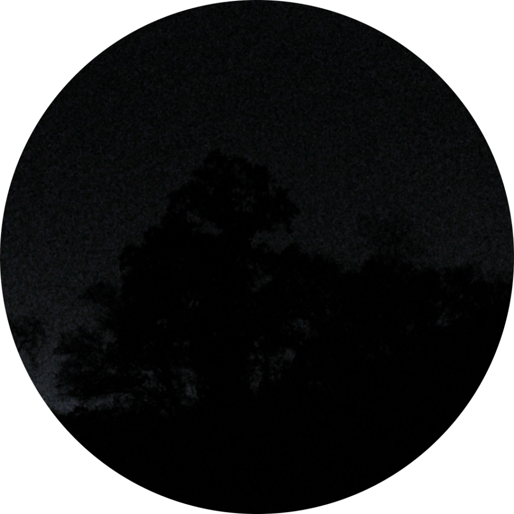 23-10-30_07h39