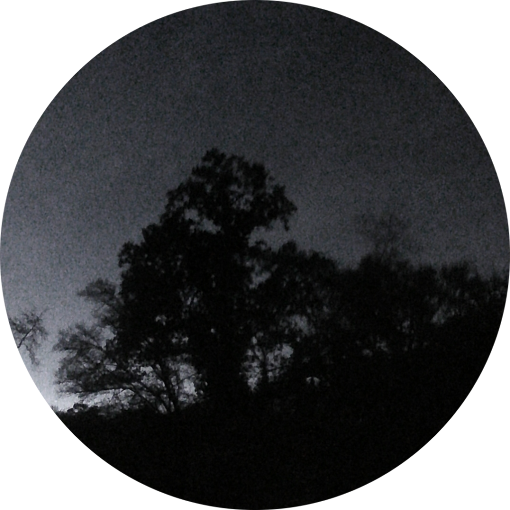 23-10-31_08h13