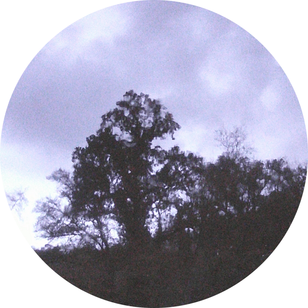 23-11-01_08h48