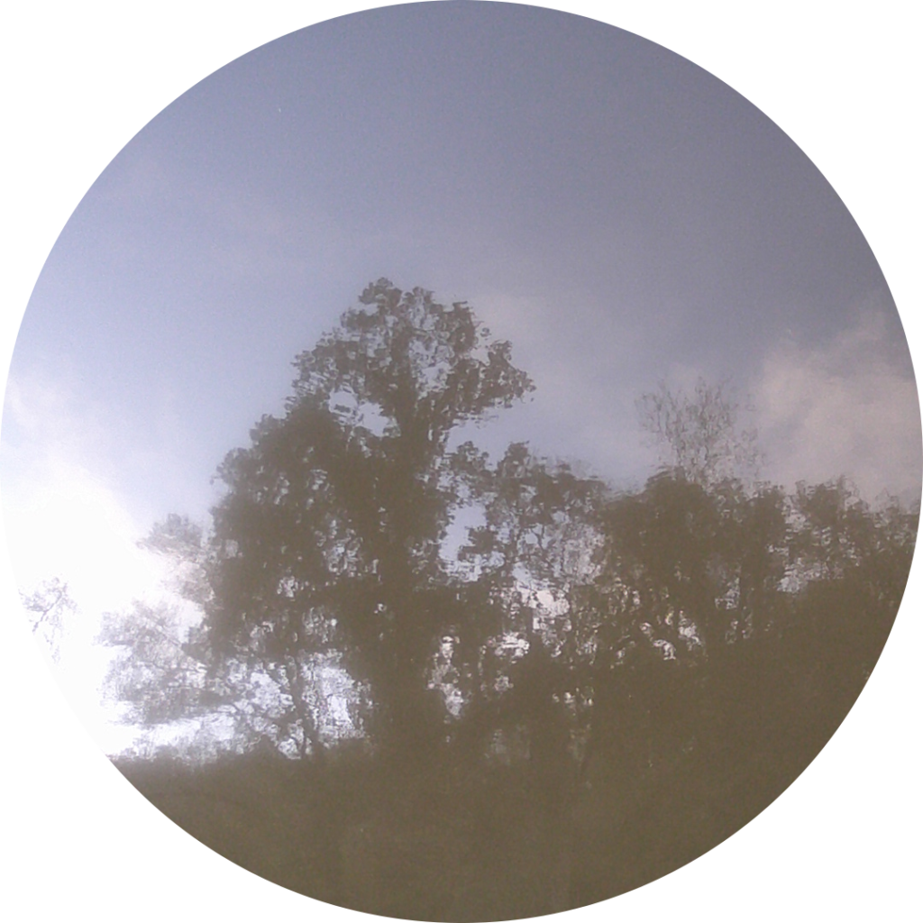 23-11-03_09h47