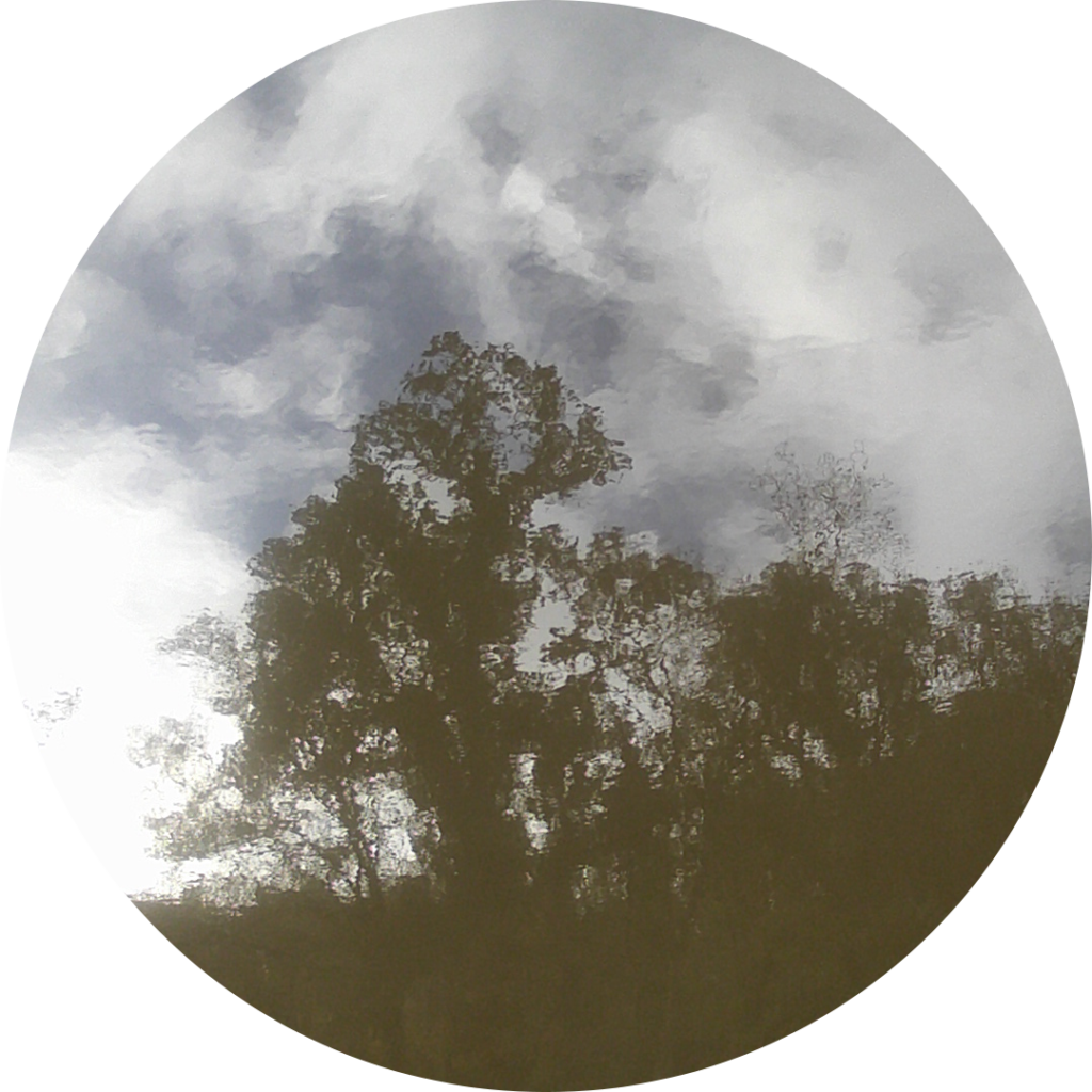 23-11-05_11h17