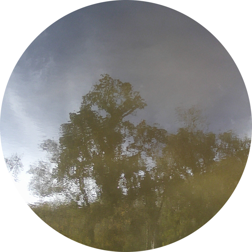 23-11-06_12h46