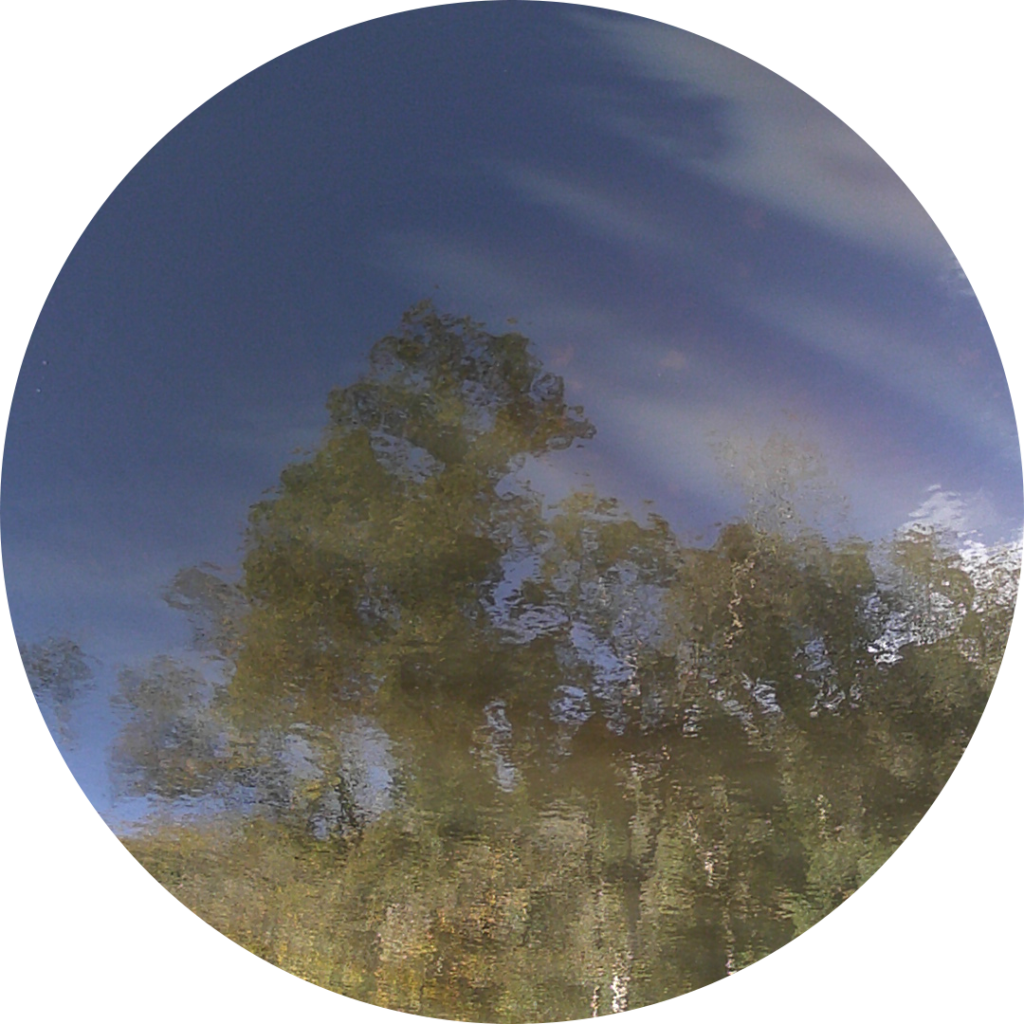 23-11-07_14h31