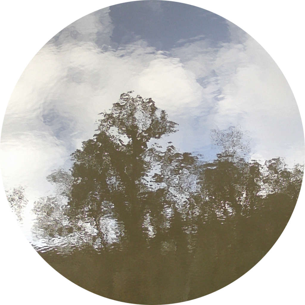 23-11-10_17h06