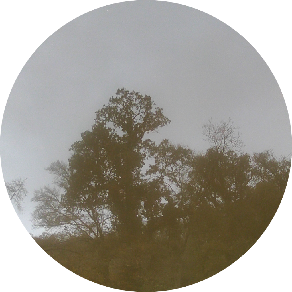 23-11-11_17h41
