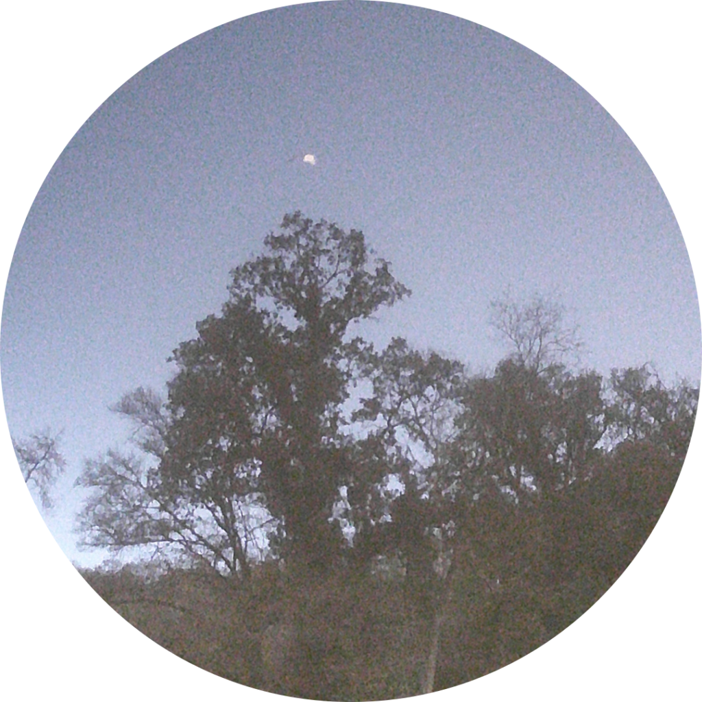 23-11-13_18h56