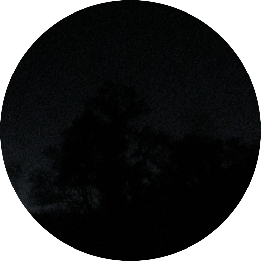 23-11-14_19h31
