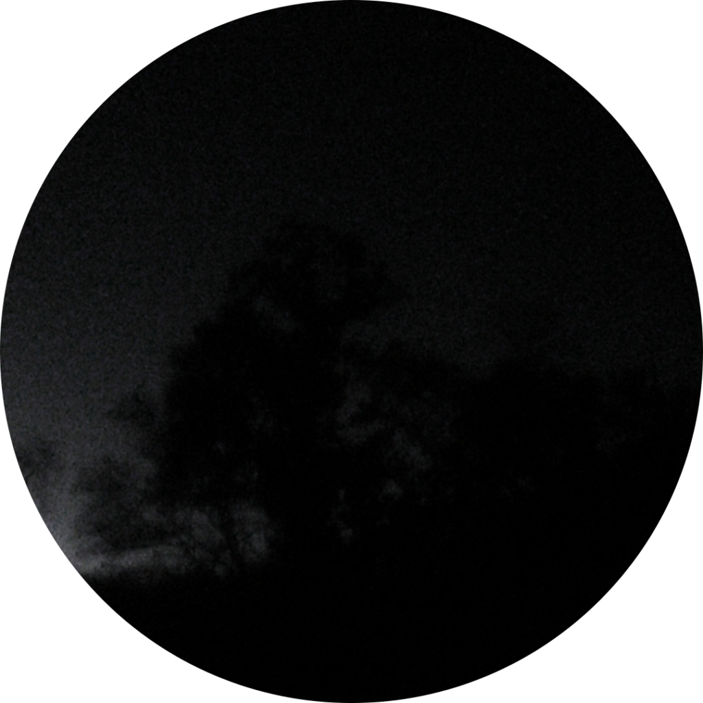 23-11-15_07h48