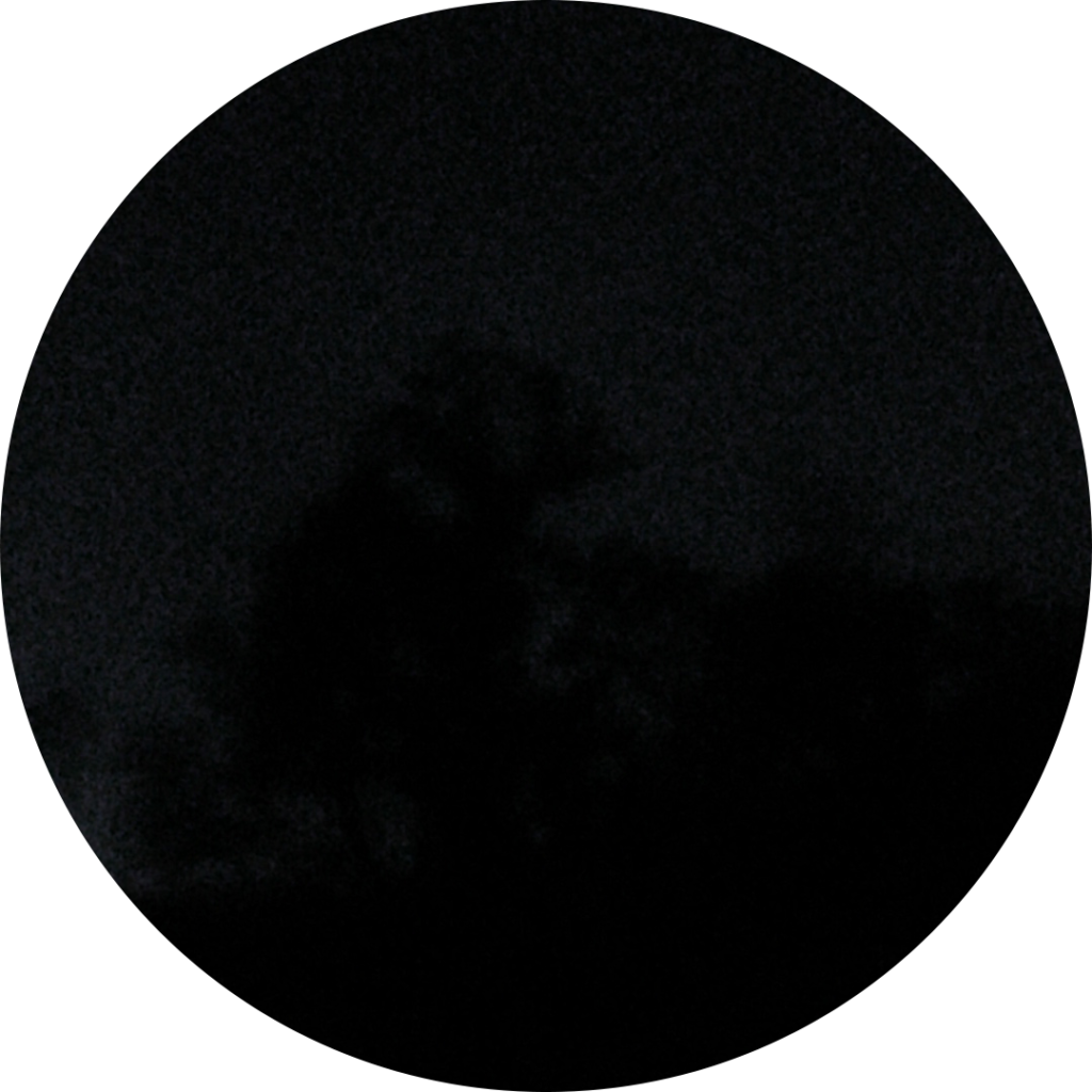 23-11-16_08h22