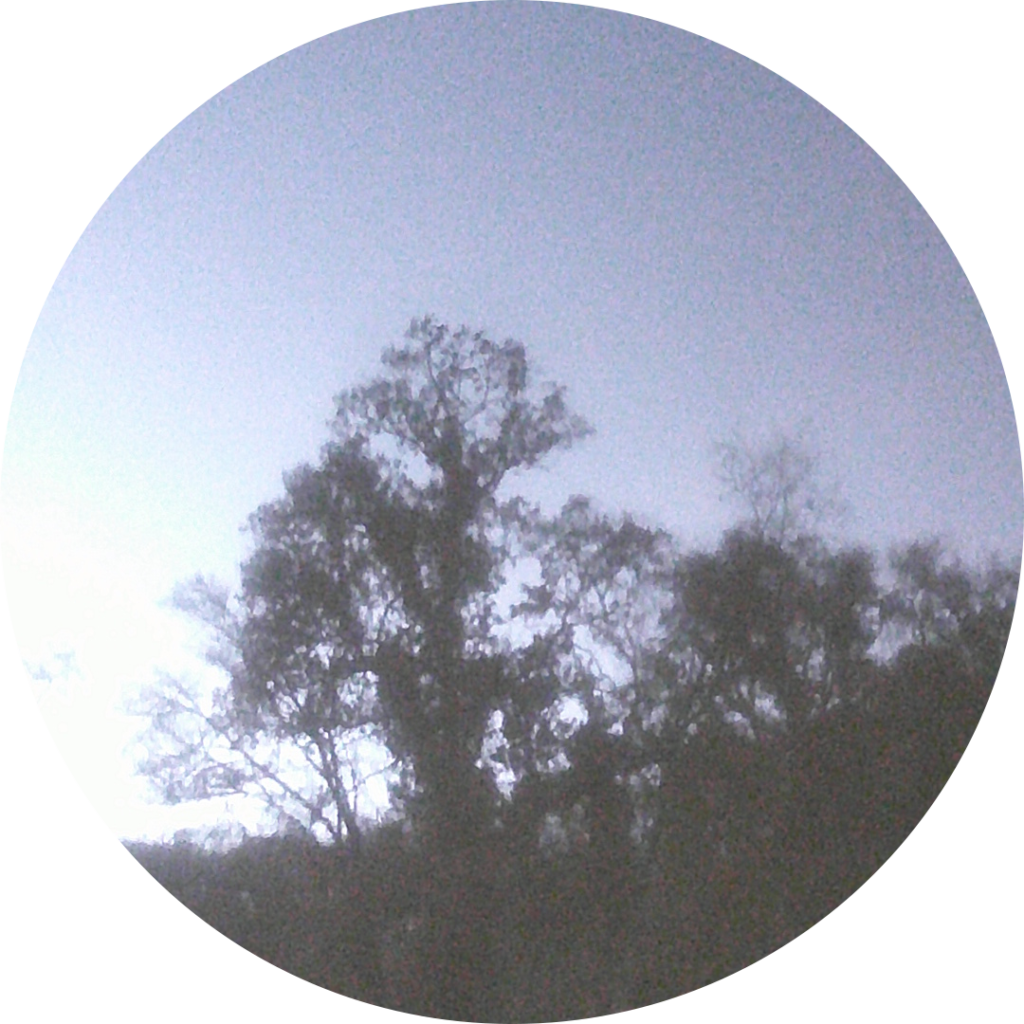 23-11-17_08h57