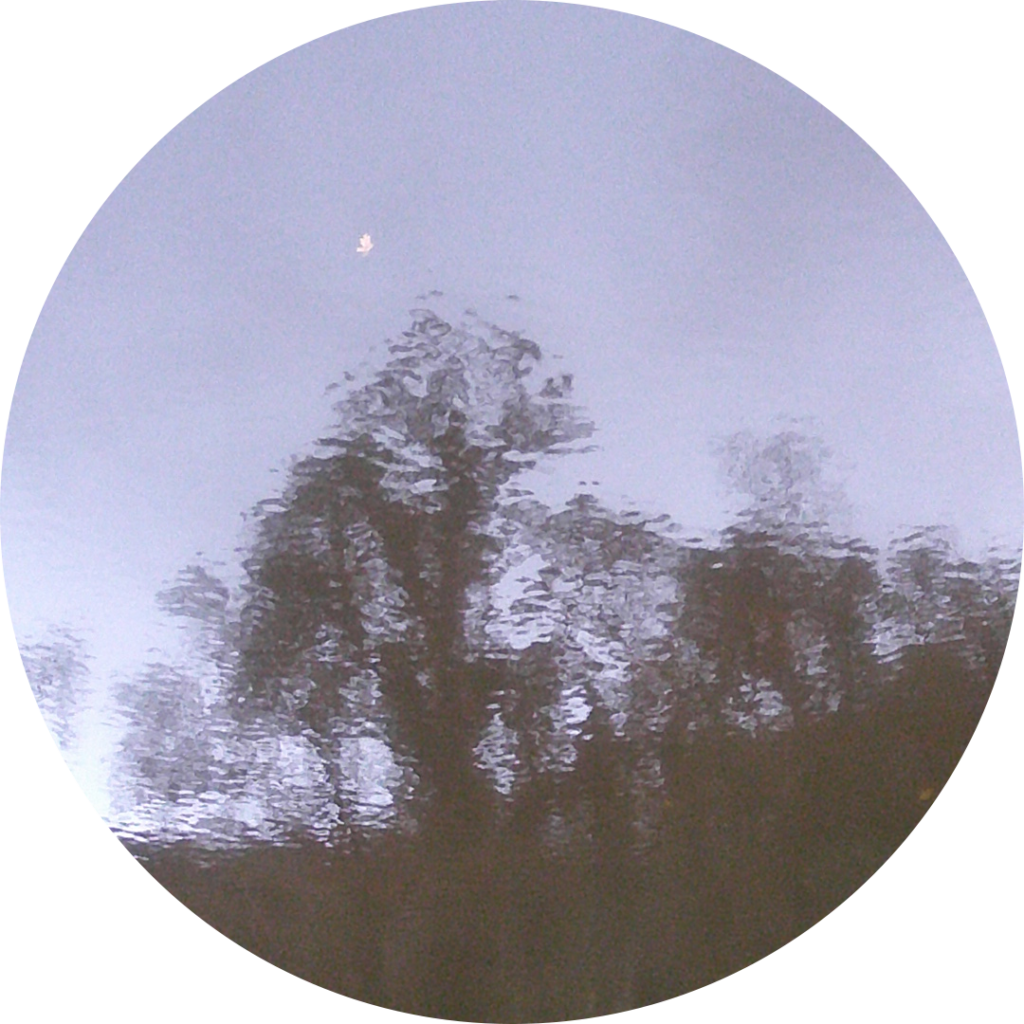 23-11-18_09h37