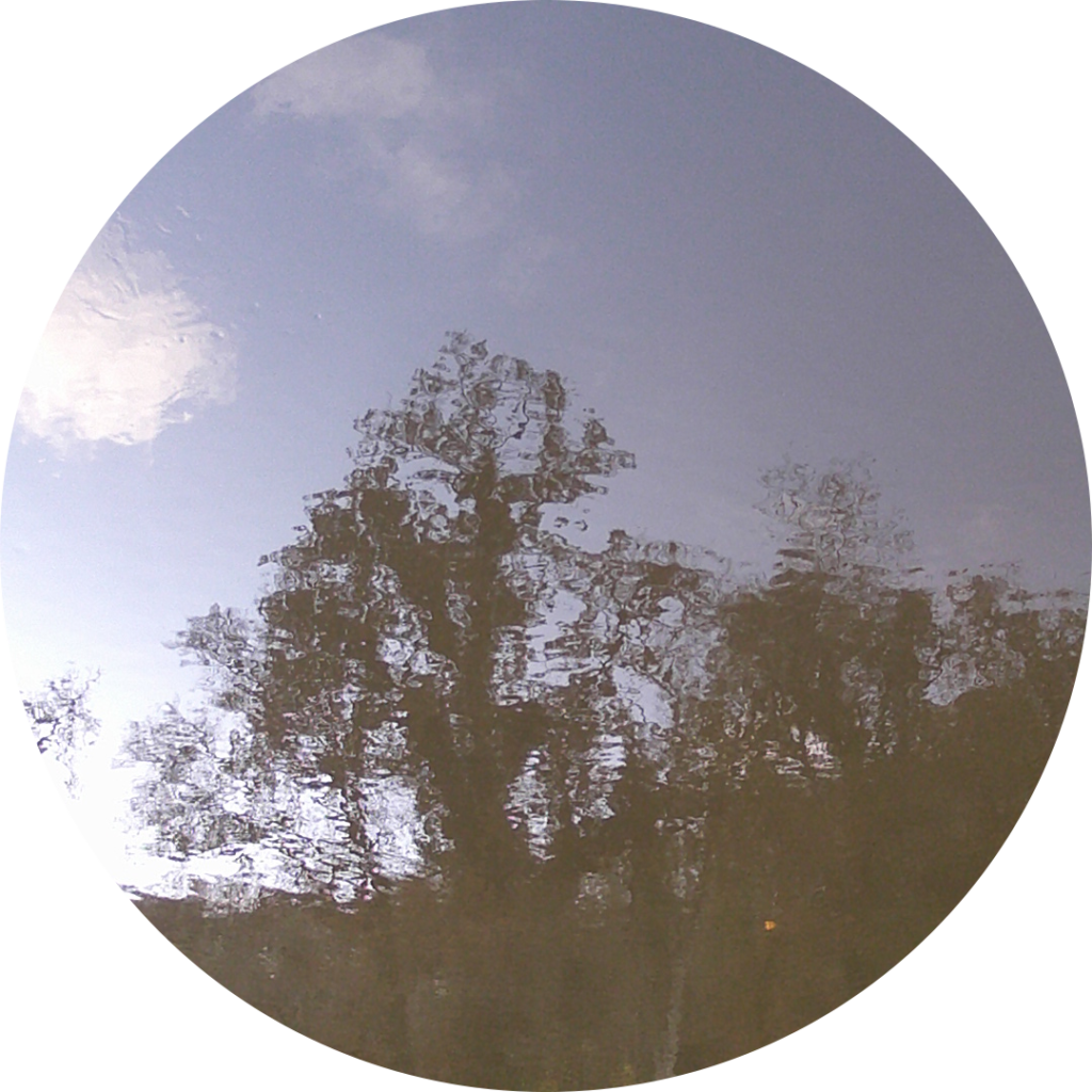 23-11-19_10h28