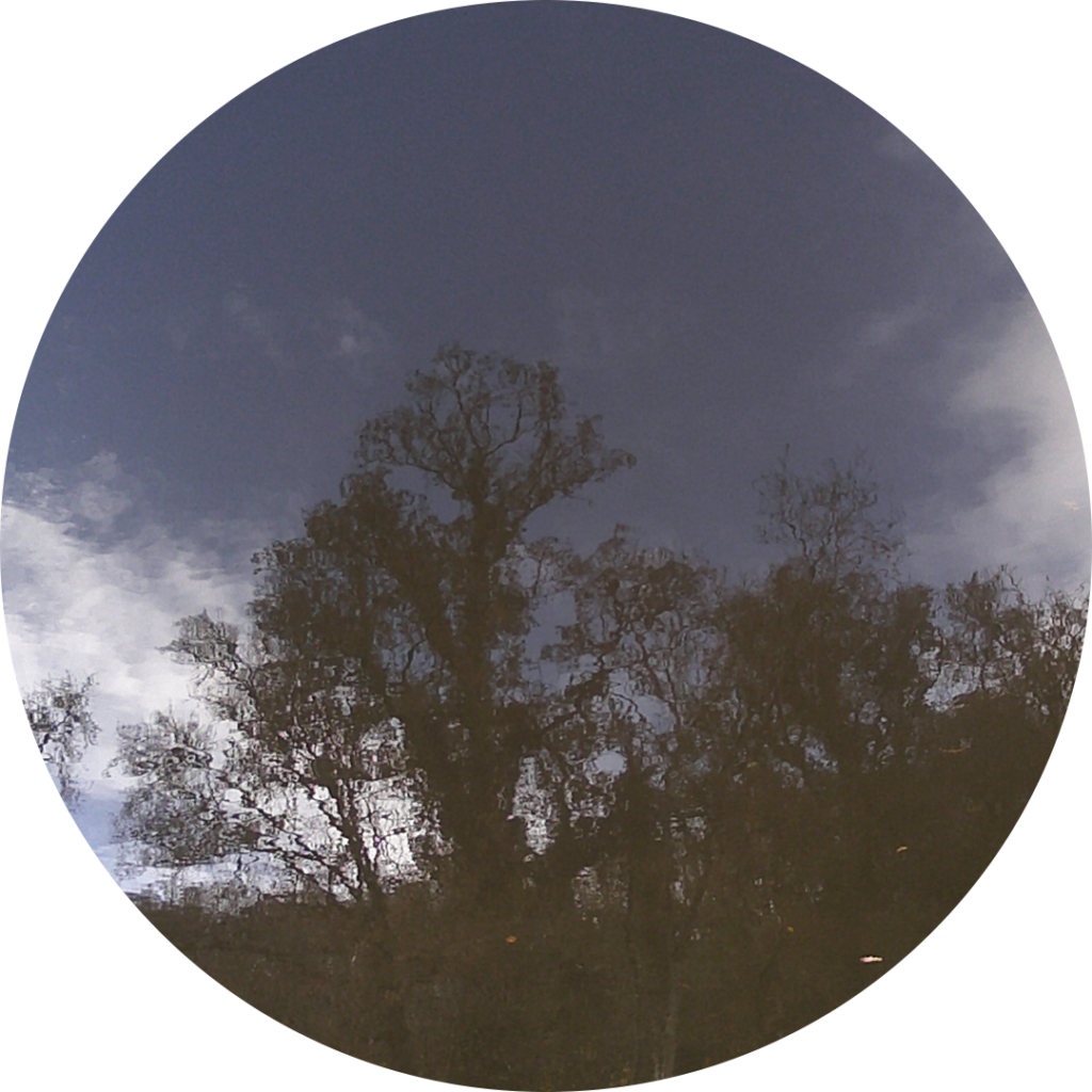 23-11-21_13h04