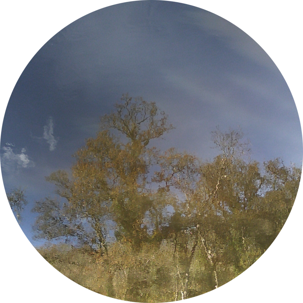 23-11-22_14h30