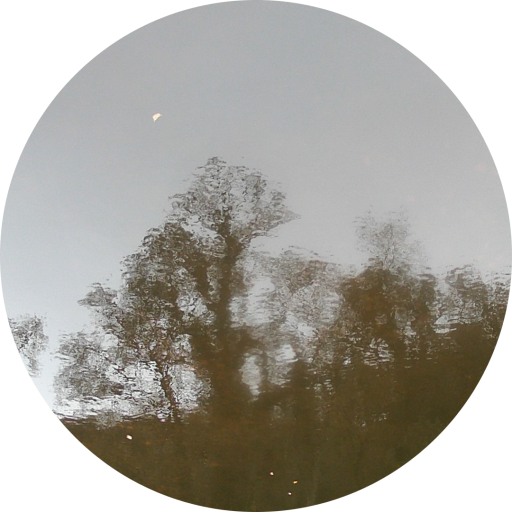 23-11-23_15h41