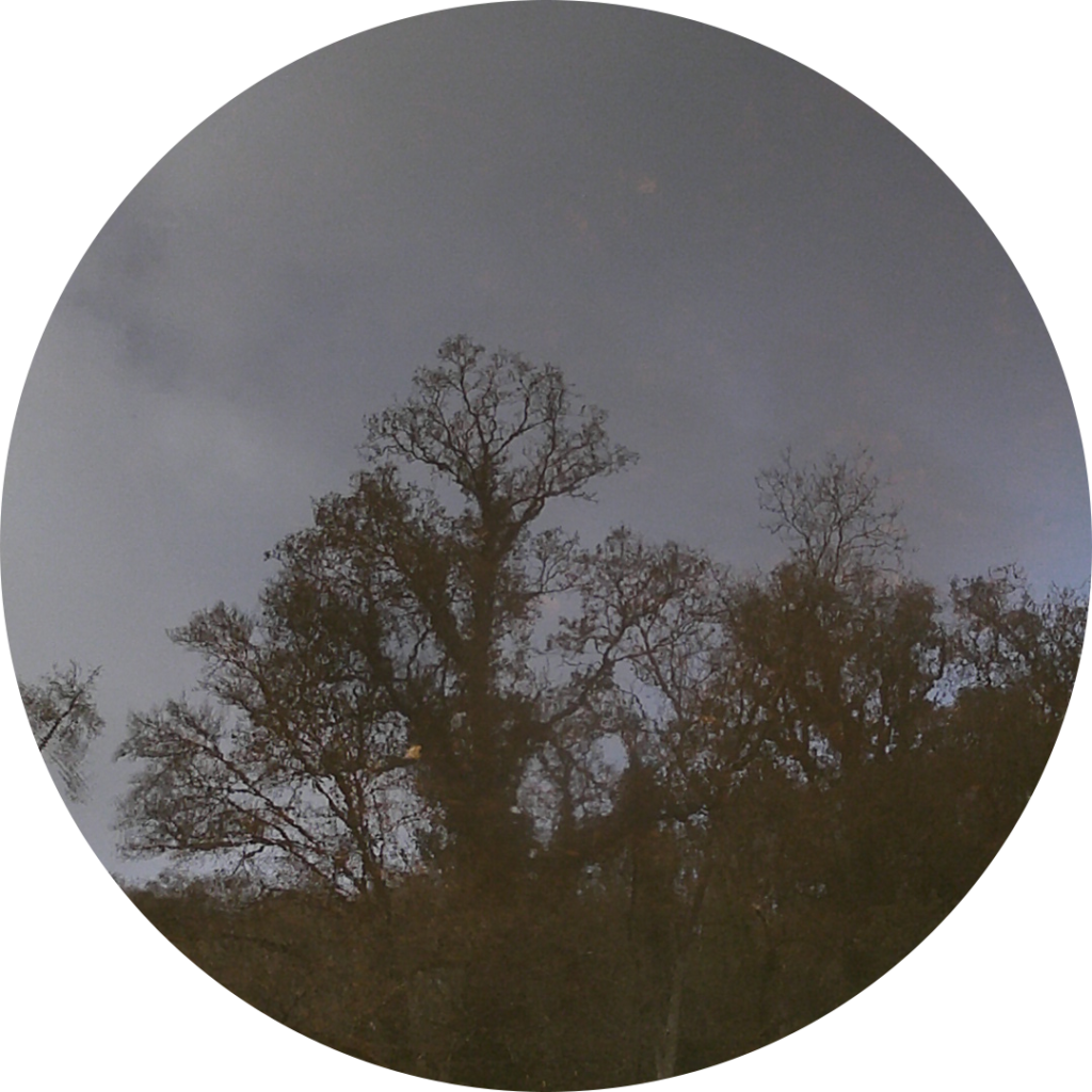 23-11-24_16h36
