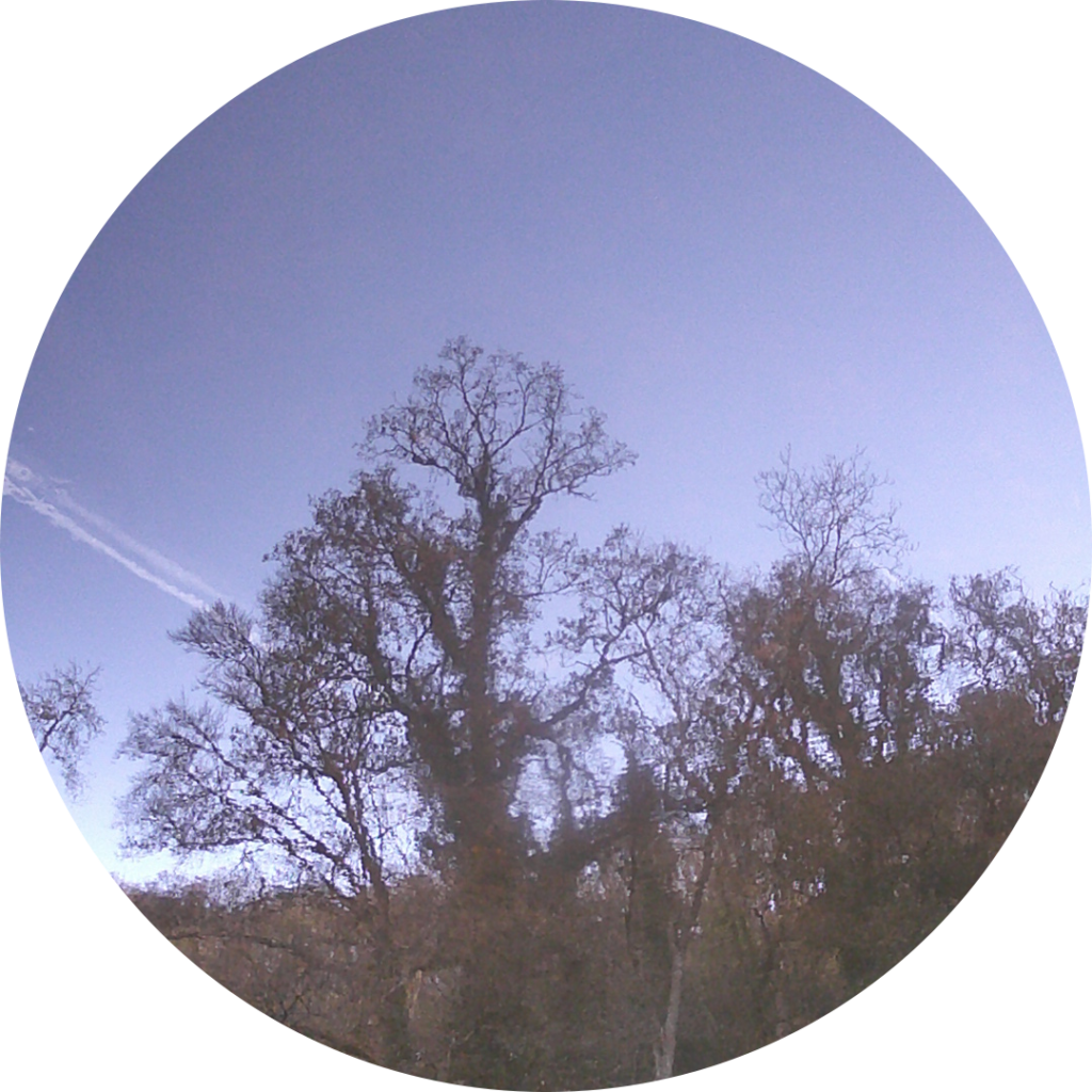 23-11-25_17h26
